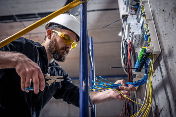 Best Electrician for Home Renovation  in Romulus, MI
