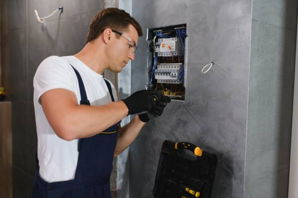 Best Electrical Upgrades for Homes  in Romulus, MI